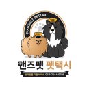 펫택시 이미지
