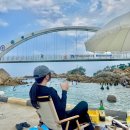 씨유삼척근덕용화점 | 삼척 스노쿨링 명소 용화방파제 용화해변 취사 구명조끼 대여