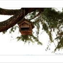 리각 미술관 이미지