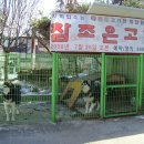 참조은고기 이미지