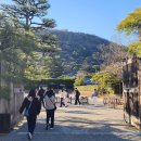 시코쿠(四國)섬의 다까마쓰(高松)를 가다.(3)...일본에서도 유명하다는 리쓰린(栗林)정원을 보다 이미지