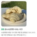 찐빵목장 | 부안 여행 코스 카페 슬지제빵소 흑당소금커피 오디봉봉 찐빵 솔직후기