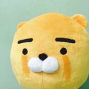 뚱돼지 이미지