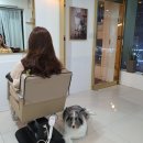 보아스헤어 이미지