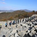 달마고도 이미지