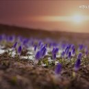 서천군노인요양시설 | 인천요양원 서천노인요양원 요양 환경이 중요한 이유