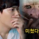 클럽멤피스글램핑 이미지