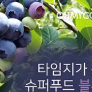 블루베리컴퍼니
