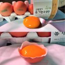 키토란 농원 | [공지] 저속노화 식단 완벽 가이드(식재료·식단표)