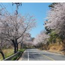 웅천삼거리 이미지