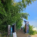 바다향기로 | 속초 산책코스 추천 외옹치 바다향기로 산책로 둘레길 후기