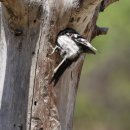 한창농장 이미지