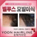 라인헤어 이미지