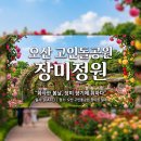 조암1호공원 농구장 | 오산 장미축제 언제? 고인돌공원 장미정원 가는법 개화시기 주차 총정리