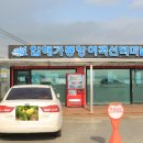 선도수선화 이미지