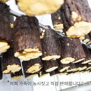 버섯놀이터변산농장 이미지