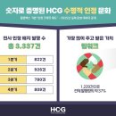 휴먼컨설팅