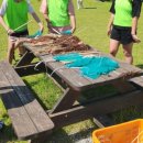 국화리팜랜드 이미지