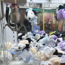 산호오락실 이미지