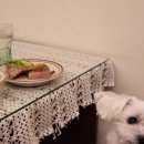 영무파라드 펜션 이미지