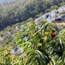 윤기농장 이미지