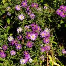 봉우재길 이미지