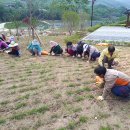 철수마을 경남연합일보