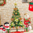 트리트리 이미지