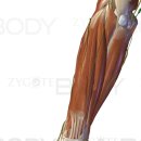 박상용한의원 이미지