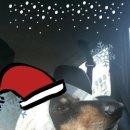 대방동물병원 이미지