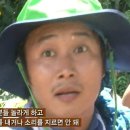 족장 이미지
