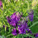 하회 휴펜션 | ♡낙동강 자전거길 389km 종주♡