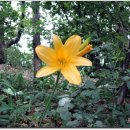 도곡리 마을회관 이미지