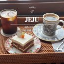 오늘도 화창 | 아이와 함께 제주도 여행 구좌 당근 케이크 맛집 오늘도 화창 후기