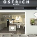 오스트리치안경 이미지