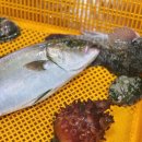 청호활어회센터 이미지