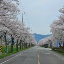 구례 지리산 리조트 이미지