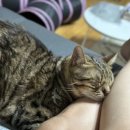 파리바게뜨 서창점 이미지