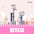 도그베이 수원 네이버블로그