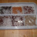 겨자씨 1농장 이미지