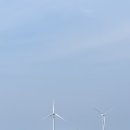 실스테이 풀빌라 | 태교여행 겸 신혼여행으로 쉬다가 온 제주 라이엔네 풀빌라 스테이 후기(feat. 온 실 수영장&amp;자쿠지)