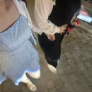 동만목장 | 베트남 갓다와땅