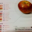 색연필 드로잉 시작하기 이미지