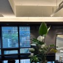 남부순환로224길 이미지