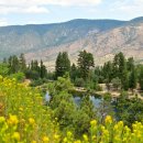 가든바베큐 이미지