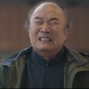 댕댕이 컷 이미지