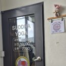 슛다요가 네이버블로그