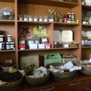 약이 되는 밥상 이야기 이미지