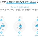 선운포도약국 이미지