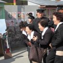 금삼인삼